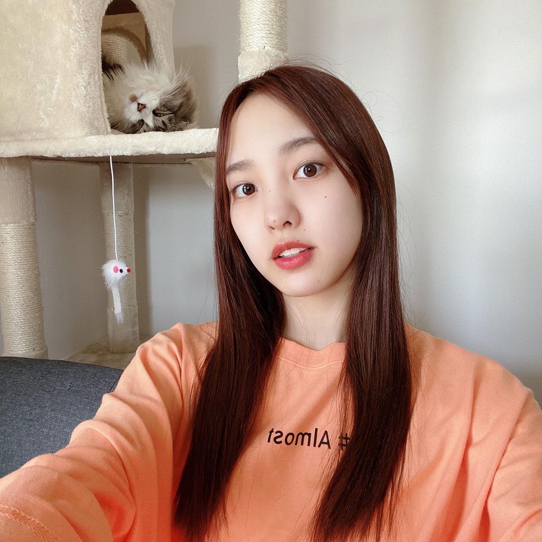 飯窪春菜 寝起きの何にもしてない髪の毛 すとーんってボリュームないマン 髪の毛のピンクってすぐ抜けちゃうな やっぱりブリーチした方が良いとかあるんですかね 教えて髪の Moe Zine 飯窪春菜 寝起きの何にもしてない髪の毛 すとーんってボリュームないマン 髪の毛のピンクってすぐ抜けちゃうな やっぱりブリーチした方が良いとかあるんですかね 教えて髪の Moe Zine