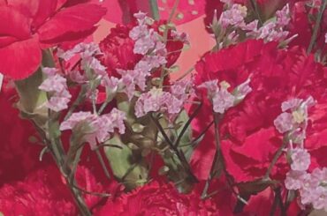 母の日.﻿
だいすきなお母さん。いつもありがとう!!﻿
﻿
いくつになってもお母さん大好き！と言い続けます笑﻿
﻿
どんな時も味方でいてくれて、1番の理解者で、...