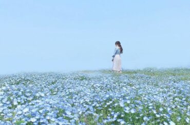 同化
#ネモフィラ #ネモフィラ畑 #お花畑 #富田さとにわ耕園 #swankiss #お花畑コーデ...