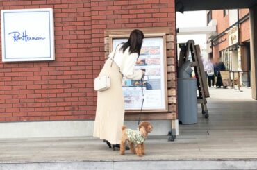 ‪‪︎‬
もうすぐで3歳になるマロン
いつも沢山の愛をありがとう♡ᵕ̈*
#愛犬の日 #みなとみらい #過去pic...