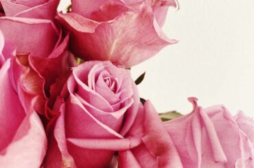 みなさんこんにちは
今日はどんな1日ですか？

私は、今日の午前は気づいたらずっと読書していました　知識が増えることって楽しいので、終わりがない分時間が足りなく...