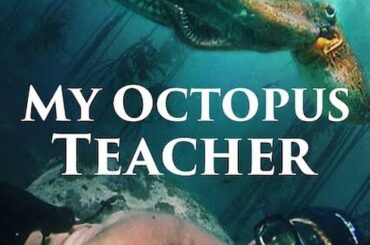 2020観たドキュメンタリーで
一番感動的で好きだった「My Octopus Teacher.」

邦題は「オクトパスの神秘: 海の賢者は語る」です。

兎に角...