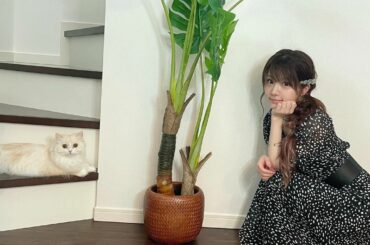 .
シンバと木と私。
・‥…━━━☞・‥…━━━☞
#スコティッシュフォールド
#今日のシンバ
#オス
#cat 
#catstagram 
#photo
#I...