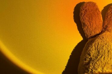 寂しそうなうさぎさん
常に壁側向いてる日向がもたれるから
ごめんね笑

#夕日ライト #日没ライト #コストコうさぎ #コストコぬいぐるみ...