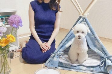 .

+𝐴𝑄𝑈𝐴໒꒱⋆ﾟ

ぱぴちゃん初めての循環浄水給水器！
実は、だいぶ前に尿路結石を発症してしまったんです...
お留守番の間、じっとしてトイレやお水を飲...