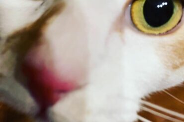 7月スタートのドラマ
「女の戦争〜バチェラー殺人事件〜」に出演します。

物凄いタイトル、、笑！

そして内容も物凄いです

お楽しみに

写真撮ろうと思ったら...