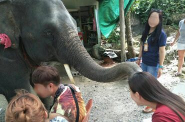 .
昔の写真見てたら出てきた
ゾウさんに頭吸われてた
あとで消すかも...