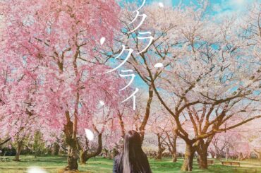 _ 応援してくださっている皆様へ
・
この度、曲をリリースする事になりました！！
6月9日 18:00 お楽しみにしていてください

#サクラクライ...