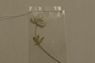 美味しいご飯と﻿
やさしい気持ちが瑞々しくって﻿
有り難くって﻿
﻿
ひとつひとつと﻿
顔をちゃんと合わせていたいと思いながら﻿
今夜は、大切な人たちに貰った本...