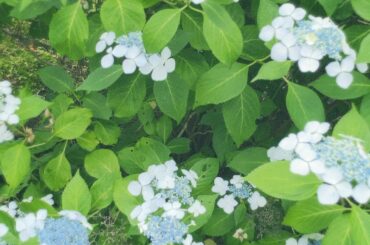 .

6月も宜しくお願いします

肌寒いけどじめじめが苦手で
半袖を毎日着てしまうそんなこの頃...