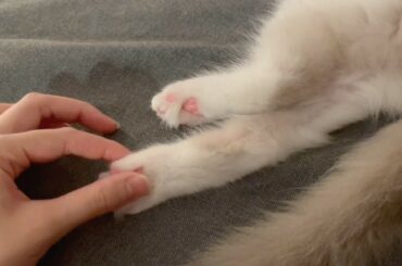 深夜のふにふに...