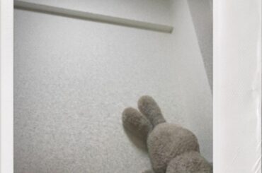 うさちゃん元気出してー...