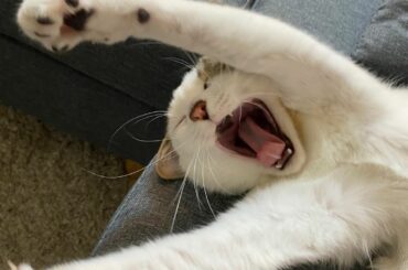 うわああああああああ！！！！！

笑。...