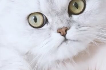 #herlipto 
#3withhlt...