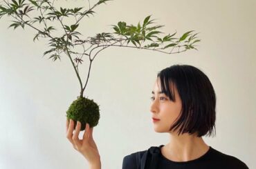 苔玉教室へ行きました。

紅鏡紅葉。

葉の色の変化が楽しみです。...