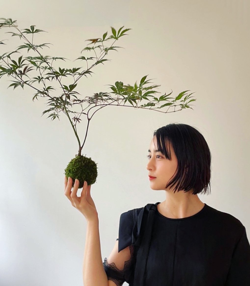 山本美月 苔玉教室へ行きました 紅鏡紅葉 葉の色の変化が楽しみです Moe Zine 山本美月 苔玉教室へ行きました 紅鏡紅葉 葉の色の変化が楽しみです Moe Zine