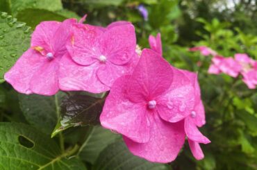 おはようございます！

毎週土曜朝9時30分〜14時に放送される
TBSテレビ「王様のブランチ」
 【調布・府中 おひとりさま旅】のコーナーに出演します！

久...