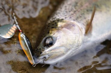 ㅤㅤㅤㅤㅤㅤㅤㅤㅤㅤㅤㅤㅤ
2泊3日、富良野 美瑛を満喫
ㅤㅤㅤㅤㅤㅤㅤㅤㅤㅤㅤㅤㅤ
初めての経験をさせていただいたり、美味しい食べ物をたくさん教えていただいた...