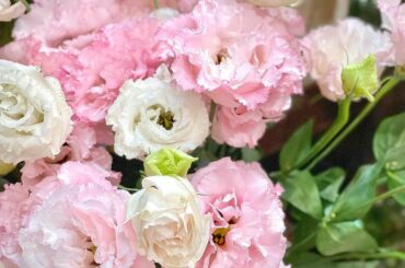 みなさまお元気ですか？

おうち時間を充実させてくれる、
可愛いお花をお迎えしました

#花のある暮らし 
#flowerstagram...