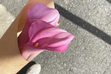 1週間お疲れ様でした！
昨夜upしたかったのですが、安定の息子と共に寝落ち
22:30-6:00睡眠の健康的な生活が続いています笑

#カラー　とい...