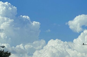 Hello Summer
・
梅雨のジトジトした感じから、カラッと晴れ渡る梅雨明け宣言が好きだ。
空と重なるように清々しい気持ちになる！
・
息子が生まれて9回...