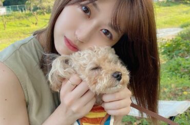 オリンピックの開会式を
もなかと一緒に観てます
#トイプードル #もなか...