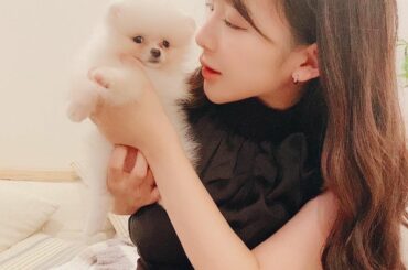 .
.
親友のお家に新しく来た
赤ちゃんわんこ可愛
.
.
2枚目は先日
@shinjuku_cleopatra へ︎
ハーブピーリングと
エンビロンビタミン導...