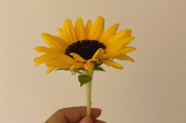 4連休お疲れ様でした。。。
ワンオペも挟みつつ、息子とずっと一緒なのは楽しいけど、お腹ぽんぽこりんなので体力が…

さぁ！今日からまたお仕事で...