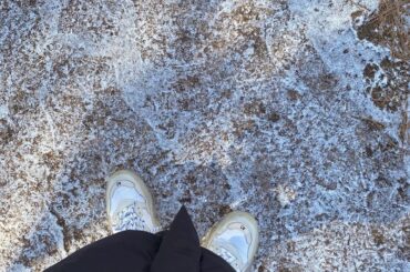 冬早く来ないかなあ .. ︎...