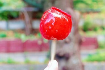 .

夏休み記念その18♪

りんご飴♪

棒がなんかぼやけてしまいました（笑）
棒だけすごいスピードで動いているみたいに見える…...