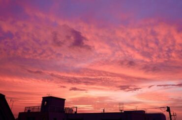 なとぅ
#怜カメラ...