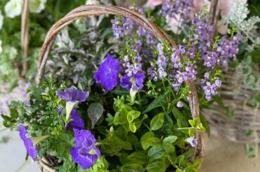 今日はお花のお勉強を…
立体感のあるアレンジが可愛い寄せ植えです。

一歩進んで二歩下がる
そしてまた三歩進んで二歩下がって振り出し
だけど、その全てがどれも無...