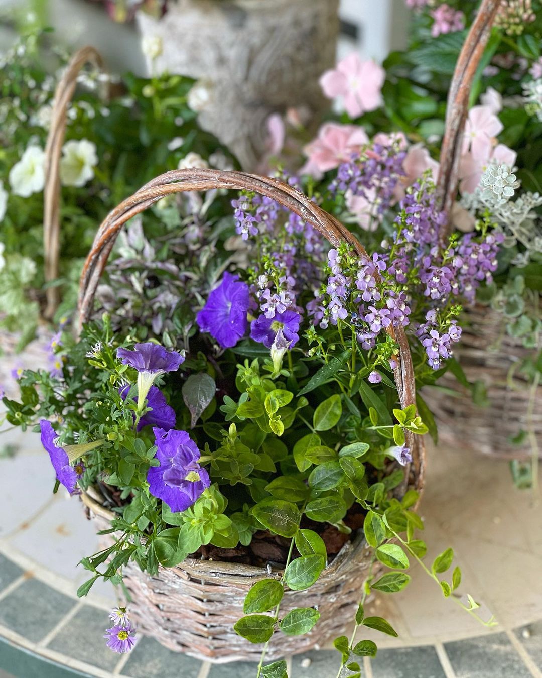 瀬戸早妃 今日はお花のお勉強を 立体感のあるアレンジが可愛い寄せ植えです 一歩進んで二歩下がる そしてまた三歩進んで二歩下がって振り出し だけど その全てがどれも無 Moe Zine