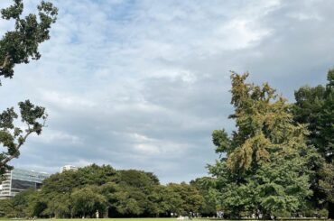 少し涼しくなったらまた...