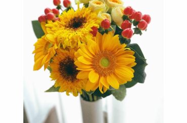 *
今年もひまわり畑には行けなかったけれど
ひまわりはたくさん見た

#ひまわり#向日葵#花のある暮らし#...