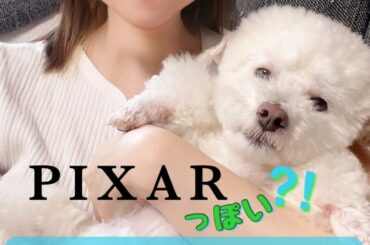 .
snowにある、誰でもピクサーキャラクターみたいになれるフィルターが楽しいー︎

@snow_japan のARカメラ機能は複数人でも顔認識をするので、
プ...