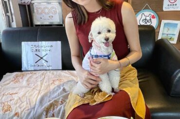 .
ぱぴちゃんとドッグデプトガーデン 木更津店に行った想い出です♪

緊急事態宣言が明けて、コロナが落ち着いたら
また一緒に行きたいな…

嬉しそうにお野菜のお...