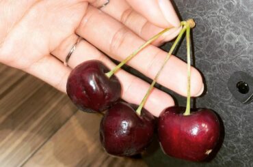 仲良しちぇりーちゃん...