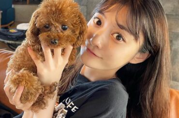 #ティーカッププードル 

自分でも飼いたくなるけど
ひとりでお世話できないなぁ〜...