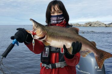 【田舎暮らし】カラフトマス釣りとニンニクの収穫