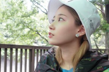 色々あったので癒しを求めに来ました。