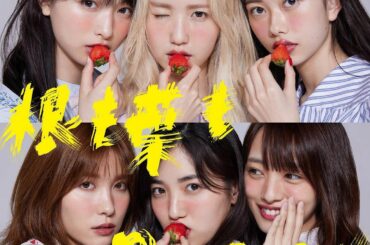 #根も葉もRumor...