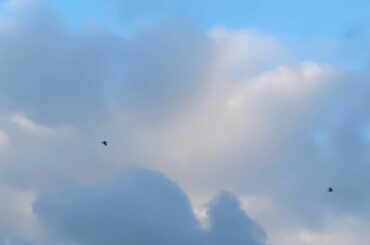 8月も今日で終わり。
今日夕方歩いてたらトンボがたくさん飛んでいて
風も気持ちよくて秋の気配をすごく感じたよ
もう秋か〜〜〜
よしよし！！！下半期！！！

#空...