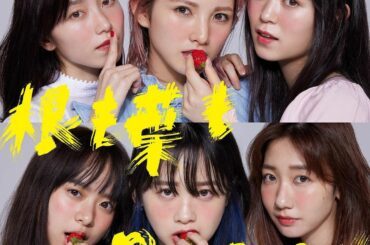 #根も葉もRumor...