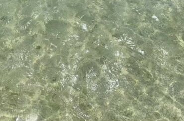 またこういう夏を過ごしたい…！
皆はコロナ終わったら何する？...