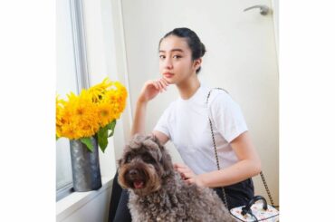 New flowers I bought today  

天気があまり良くないと、気分も上がらない時がありますよね。私はお部屋にお花を飾る！それだけで、とても...