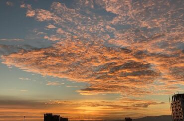 昨日、ナイツテイルの新たな初日を迎えました。言葉にできない高揚感を、みんなで共有している安心感がありました。
ジョンからのたくさんの言葉と舞台に立てる感謝を胸に...