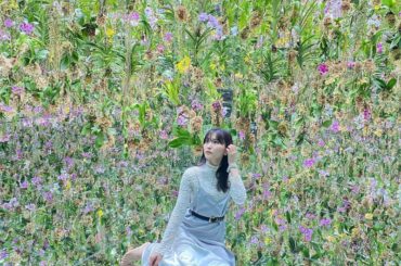 花の庭園

花と光に囲まれて素敵な世界だったなぁ**

#teamlab #teamlabplanets 
#floatingflowergarden 
#チー...