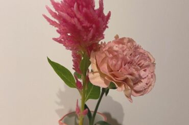 9月22日。
大好きな母のお誕生日𓂃 𓈒𓏸𑁍‬
⁡
おめでとう·͜·♡
⁡
いつもありがとう。
⁡
幾つになってもお母さん大好きマンな私。
⁡
これからも身体...