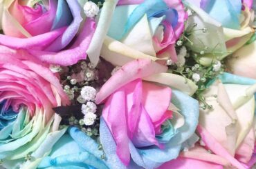 差し入れ等あんまり載せないんだけど、
どれも素敵すぎて、、残しておきたい 
#ありがとう #癒し系 #グラビア #タレント #グラドル #女優 #モデル #...